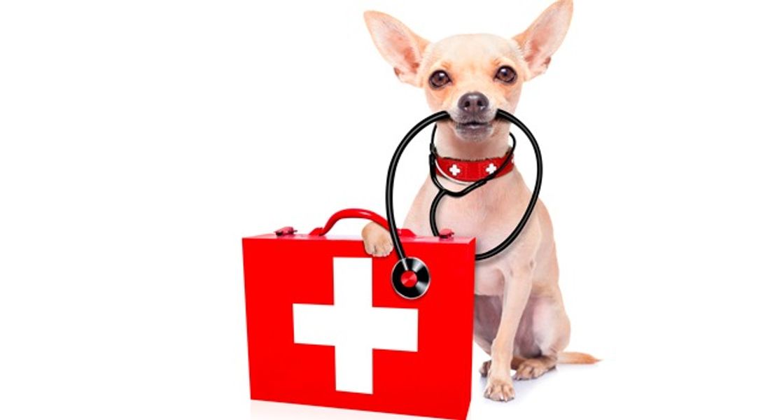 EMERGENCY PET PLAN