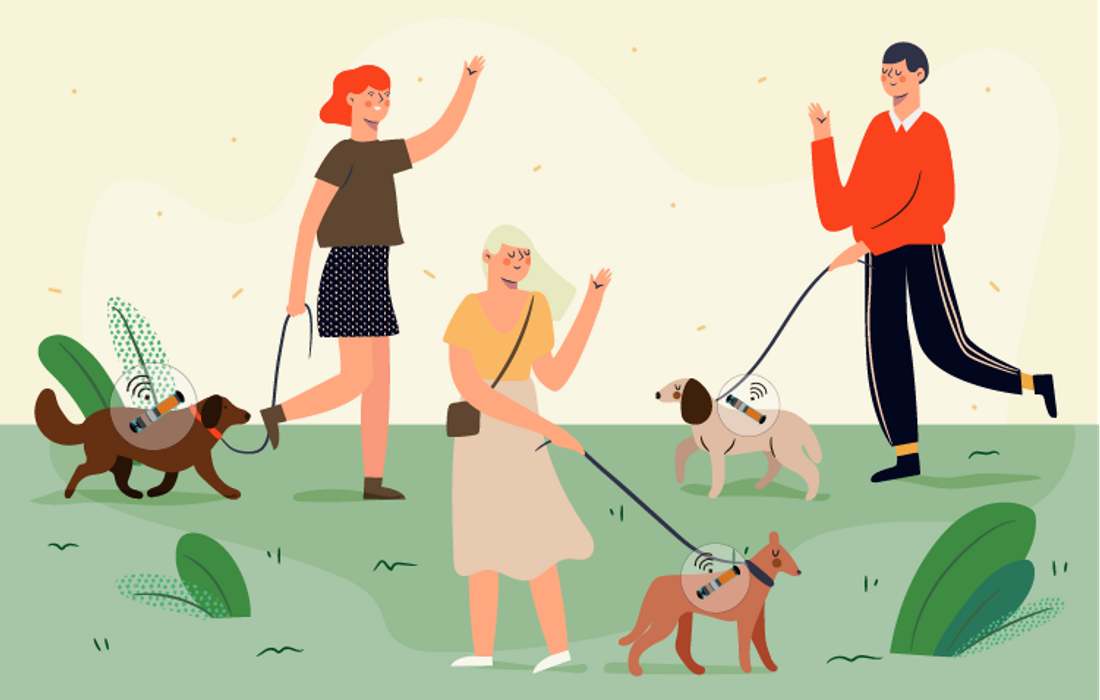 people walking dogs with microchip